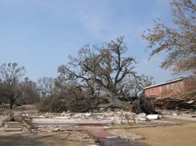 Dantzler House After Hurricane Katrina